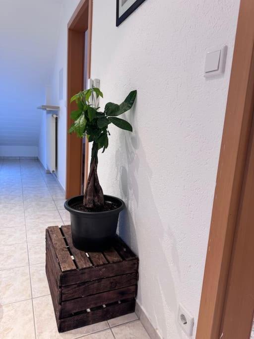 Appartamento Casa Italia Oberasbach Esterno foto
